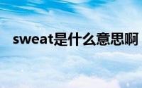 sweat是什么意思啊（sweat是什么意思）