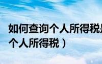 如何查询个人所得税是否需要补交（如何查询个人所得税）