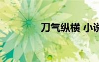刀气纵横 小说（刀气纵横）
