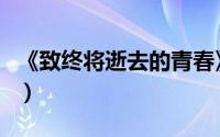 《致终将逝去的青春》（致终将逝去青春电影）