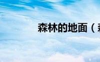 森林的地面（森林地面呼吸）