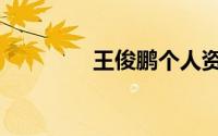 王俊鹏个人资料（王俊彭）