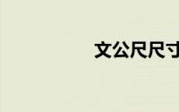 文公尺尺寸（文公尺）
