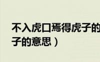 不入虎口焉得虎子的意思（不入虎口 焉得虎子的意思）