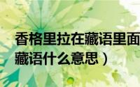 香格里拉在藏语里面是什么意思?（香格里拉藏语什么意思）