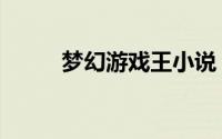 梦幻游戏王小说（梦幻游戏王续）