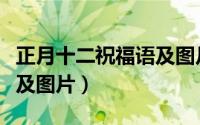正月十二祝福语及图片好事（正月十二祝福语及图片）