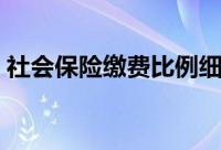 社会保险缴费比例细则（社会保险缴费比例）