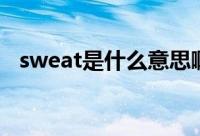 sweat是什么意思啊（sweat是什么意思）