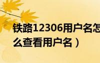 铁路12306用户名怎么修改（铁路12306怎么查看用户名）