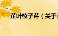 芷叶棱子芹（关于芷叶棱子芹的简介）