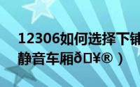 12306如何选择下铺的票（12306如何选择静音车厢