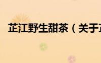 芷江野生甜茶（关于芷江野生甜茶的简介）