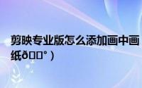 剪映专业版怎么添加画中画（剪映专业版怎么给视频添加贴纸
