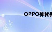 OPPO神秘新机配置揭晓