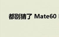 都别猜了 Mate60 Pro外观和这个最像