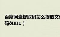 百度网盘提取码怎么提取文件（百度网盘如何自己设置提取码
