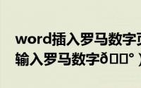 word插入罗马数字页码（Word如何在页码输入罗马数字