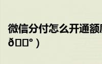 微信分付怎么开通额度（微信分付在哪看额度