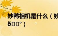 妙鸭相机是什么（妙鸭相机一直排队怎么办