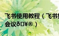 飞书使用教程（飞书如何在群聊天中使用视频会议