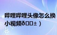 哔哩哔哩头像怎么换（哔哩哔哩如何去除头像小视频