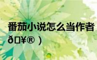 番茄小说怎么当作者（番茄小说怎样关注作者