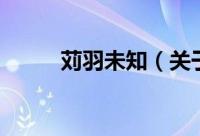 苅羽未知（关于苅羽未知的简介）