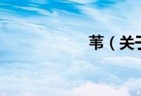 苇（关于苇的简介）