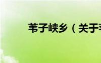 苇子峡乡（关于苇子峡乡的简介）