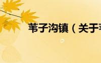 苇子沟镇（关于苇子沟镇的简介）