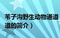 苇子沟野生动物通道（关于苇子沟野生动物通道的简介）
