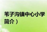 苇子沟镇中心小学（关于苇子沟镇中心小学的简介）