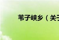 苇子峡乡（关于苇子峡乡的简介）