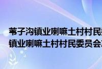 苇子沟镇业喇嘛土村村民委员会志愿服务团队（关于苇子沟镇业喇嘛土村村民委员会志愿服务团队的简介）