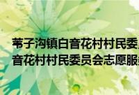 苇子沟镇白音花村村民委员会志愿服务队（关于苇子沟镇白音花村村民委员会志愿服务队的简介）