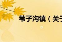 苇子沟镇（关于苇子沟镇的简介）