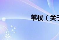 苇杖（关于苇杖的简介）