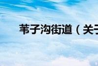 苇子沟街道（关于苇子沟街道的简介）