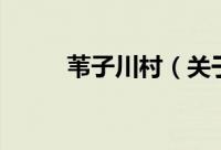 苇子川村（关于苇子川村的简介）
