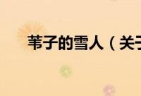 苇子的雪人（关于苇子的雪人的简介）