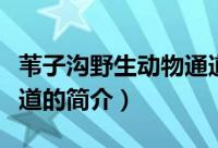 苇子沟野生动物通道（关于苇子沟野生动物通道的简介）
