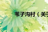 苇子沟村（关于苇子沟村的简介）