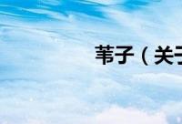 苇子（关于苇子的简介）