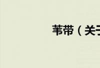 苇带（关于苇带的简介）