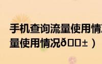 手机查询流量使用情况（iphone15怎么查流量使用情况