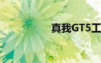 真我GT5工艺难度超大