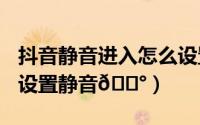 抖音静音进入怎么设置（iphone15plus怎么设置静音