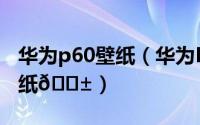 华为p60壁纸（华为P60如何切换全景天气壁纸