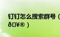 钉钉怎么搜索群号（钉钉怎么搜索附近公司